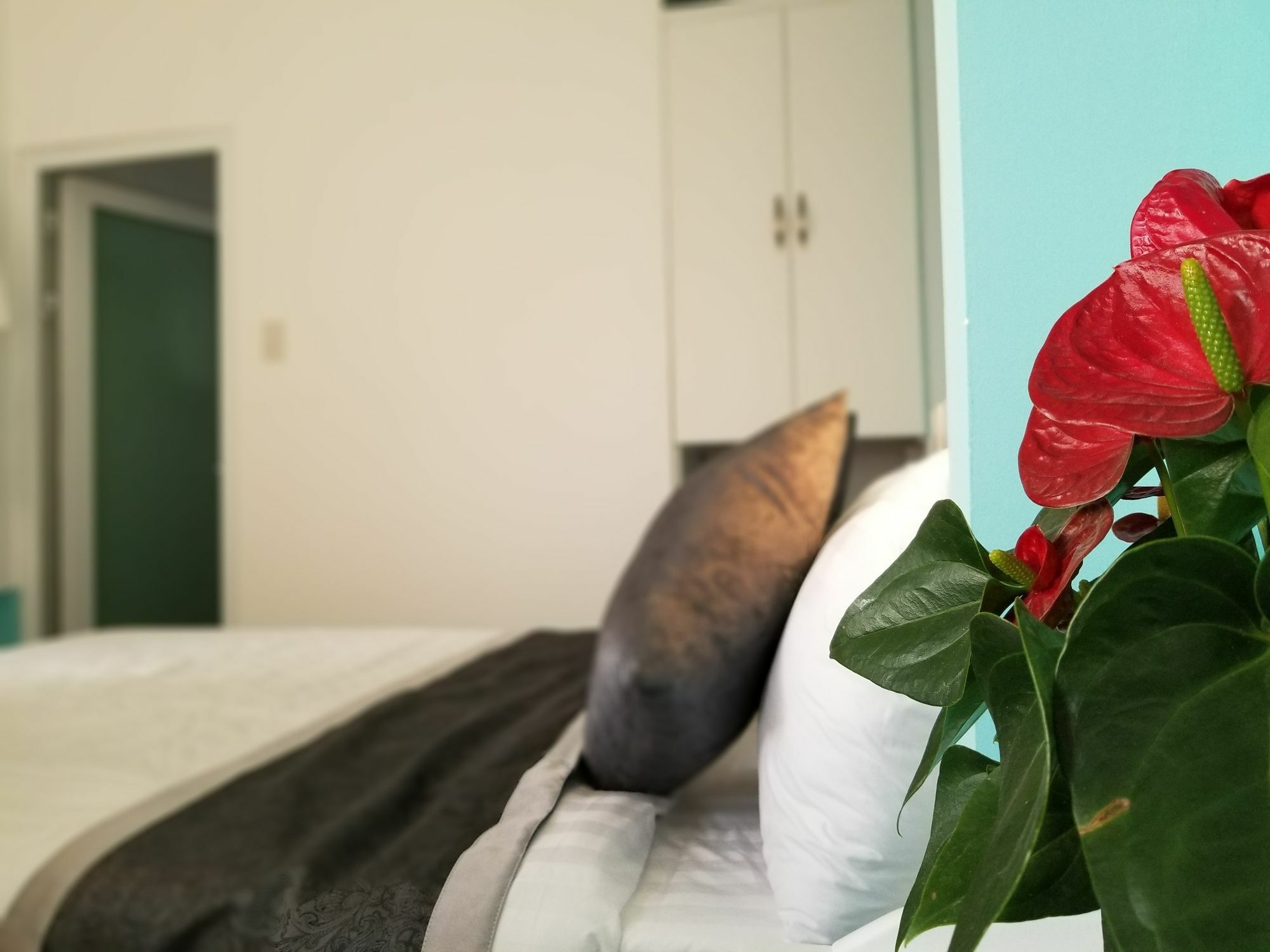 Apartament Ribe'S House Da Lat Zewnętrze zdjęcie