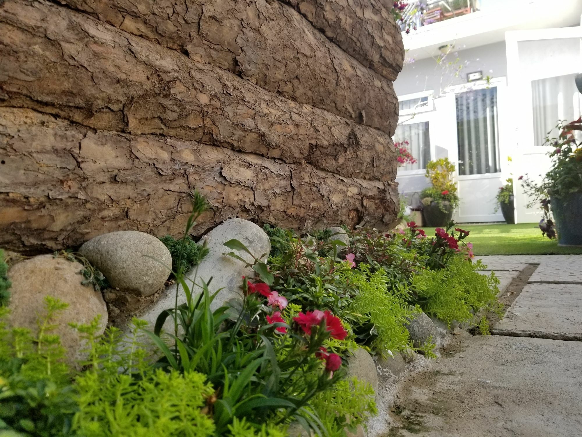 Apartament Ribe'S House Da Lat Zewnętrze zdjęcie